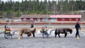 Blivande travkuskar tränar hästkörning på Travskolan