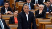 Orbán vädjar till kollegor i EU-grupp