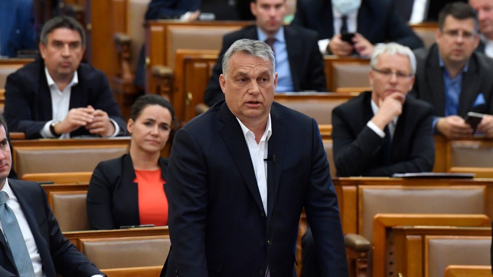 Ungerns premiärminister Viktor Orbán vädjar till kollegorna i EU-partigruppen EPP, när hans auktoritära virusåtgärder ifrågasätts.
