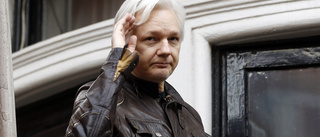 Assange blev pappa på ambassaden
