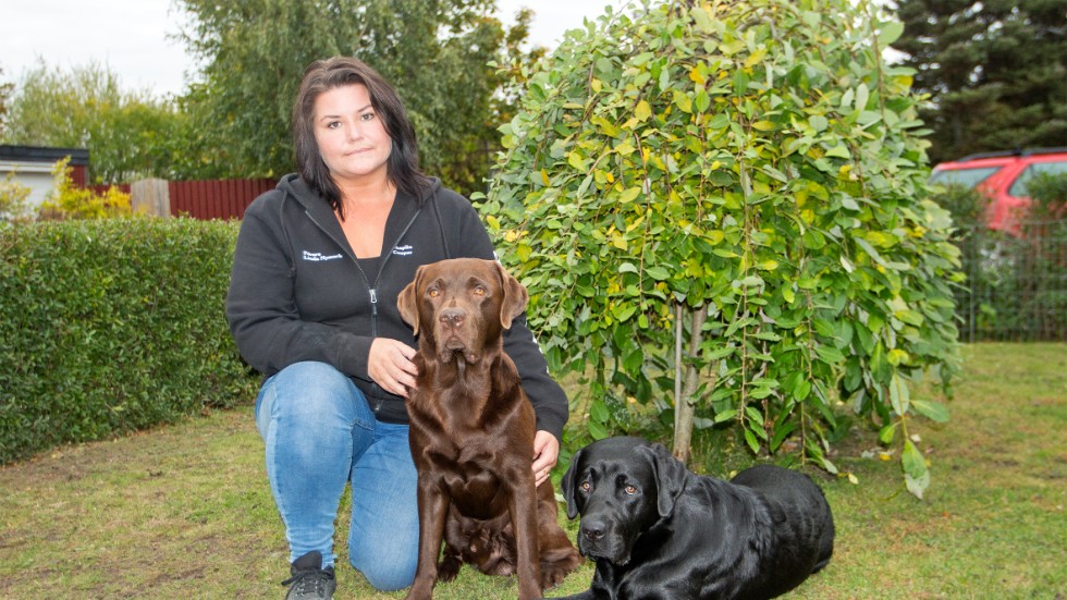 I augusti startade Linda Nymark webbshopen Zoonix med hundtillbehör. Labradorerna Chaplin och Cooper är hennes ögonstenar.