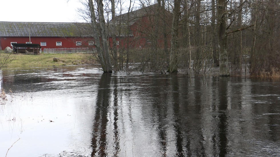Mestadels är det betesmarker utmed ån som svämmas över. Men det är inga byggnader som drabbats.