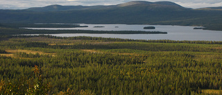 Sju nya naturreservat i Norrbotten