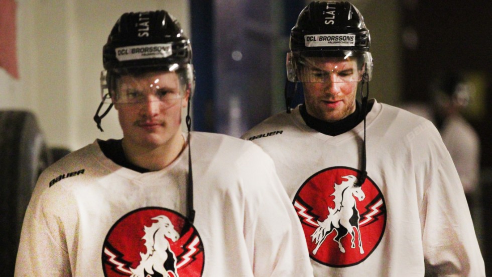 Linus Andersson och Istvan Bartalis har stänkt in 20 av Vita Hästens 59 mål. 
