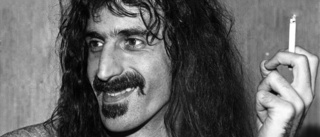 Skolverket ger Frank Zappa rätt