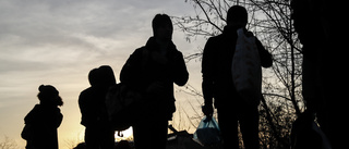 Den seglivade myten om den svenska flyktingpolitiken