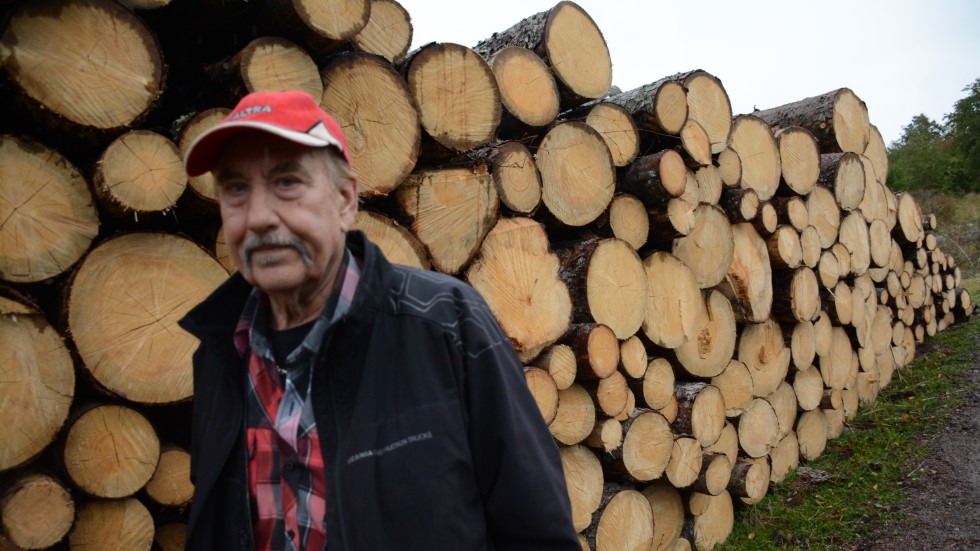 Gösta Samuelsson vid den imponerade trave massaved som han fällt med motorsåg och lagt ihop när han röjde bort träd som skadats av granbarkborrar i somras.