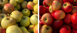 Tre av fyra äpplen i Sverige är utländska
