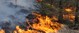 Skogsbrand vid Hataträsket stoppade tågtrafiken