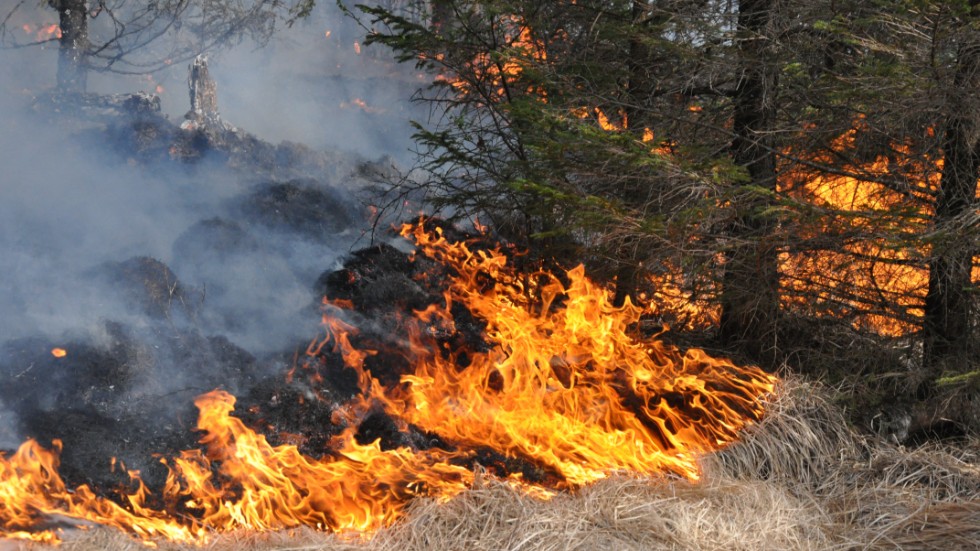 Nu gäller eldningsförbud i norra Kalmar län. Risken för bränder som kan sprida sig är mycket hög.