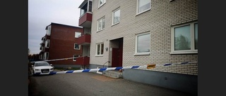 Mordmisstänkt 23-åring begärs häktad