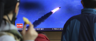 Två projektiler avfyrade från Nordkorea