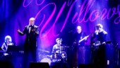  Weeping Willows ger en extrakonsert i Eskilstuna: "Vi tycker mycket om julmusik"