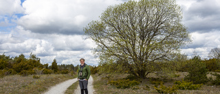 Niclas har skildrat ett år i Gotlands natur