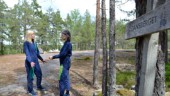 Skogsnära dans för barn bland mossa, barr och kvistar