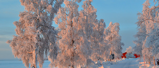 Kall men snöfri dag att vänta i Norrbotten