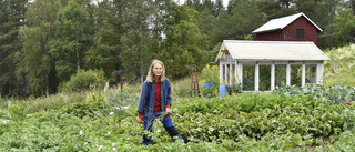 Så lyckades du bäst med dina grönsaker: Ursvikenbon Gunilla ger sina bästa tips