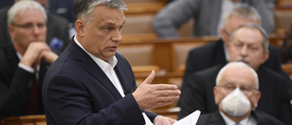 All makt åt Orbán under krisen