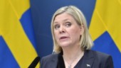 Andersson: SAS inte bara statens ansvar