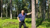 Skogen på Degerberget får formellt skydd under handläggningen – regeringen avslår markägarnas överklagan
