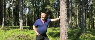 Skogen på Degerberget får formellt skydd under handläggningen – regeringen avslår markägarnas överklagan