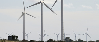 Väg in vindkraftens klimatnytta när besluten fattas