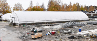 
Kyrkans nya växthus: Byggs upp i Lund, Sunnanå