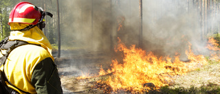 Risk för skogsbrand - men inget eldningsförbud