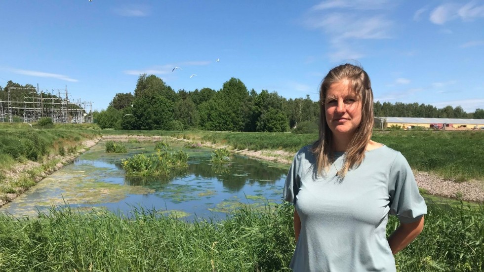 Att det blev mindre turism i Vimmerby förra sommaren och därmed mindre vattenuttag kan ha gjort att nivåerna är stabila i år, menar VA-chef Emma Jonsson. 