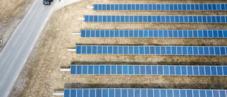 Länsstyrelsen vill snabba på bygget av solcellsparker