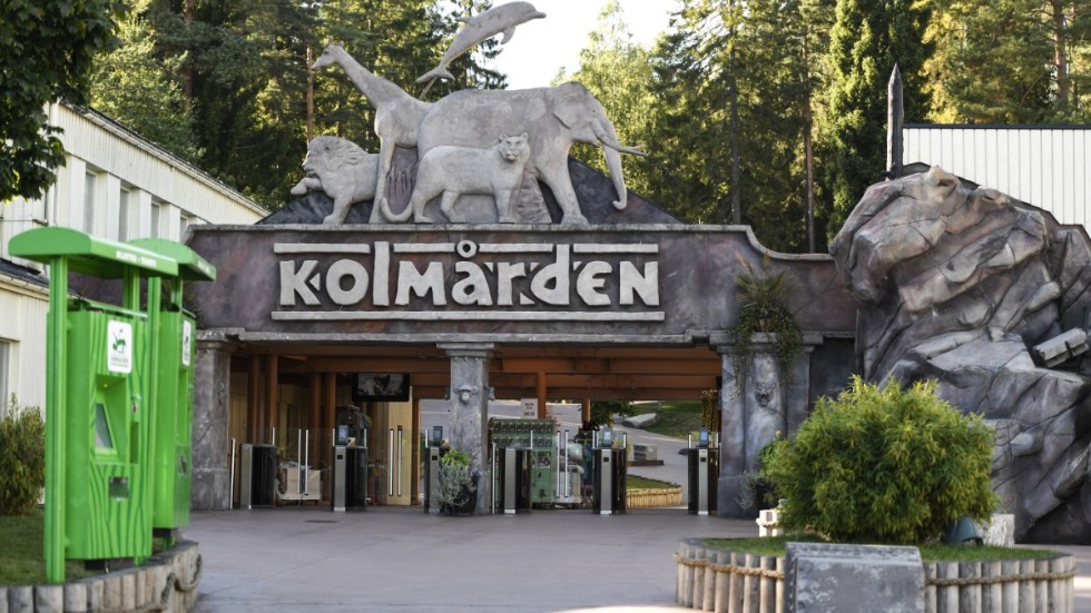 Kolmårdens djurpark utanför Norrköping öppnar delar av djurparken till påsk. Arkivbild.
