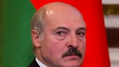 Lukasjenko sprattlar i Putins koppel