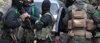 Syrienexperter: Ta med jihadister i vapenvila