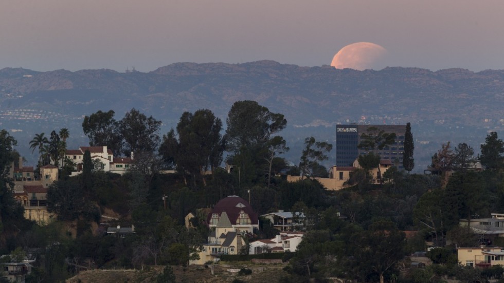 Hollywood Hills i Los Angeles, Kalifornien. Arkivbild.