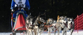 Fem EM-medaljer till Norrbotten