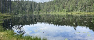 Tidö-regeringen förstör svensk natur