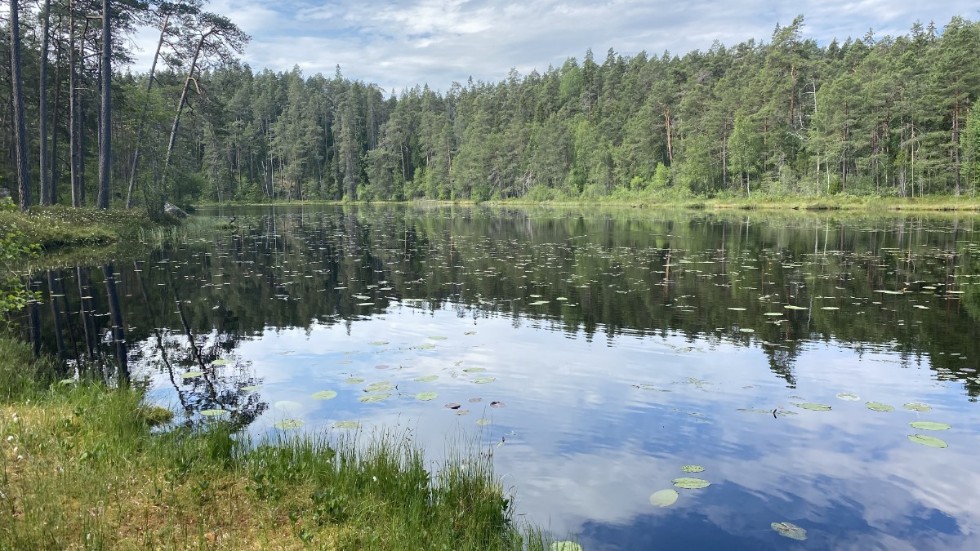 Insändarskribenten är kritisk till att den svenska regeringen halverat anslagen till naturreservat och nationalparker. Här ligger stora Idgölen i Norra Kvills nationalpark spegelblank.