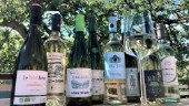 Överraskande goda alkoholfria vita viner