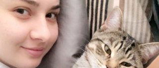 Katten Felix fortfarande på Arlanda – men får leva