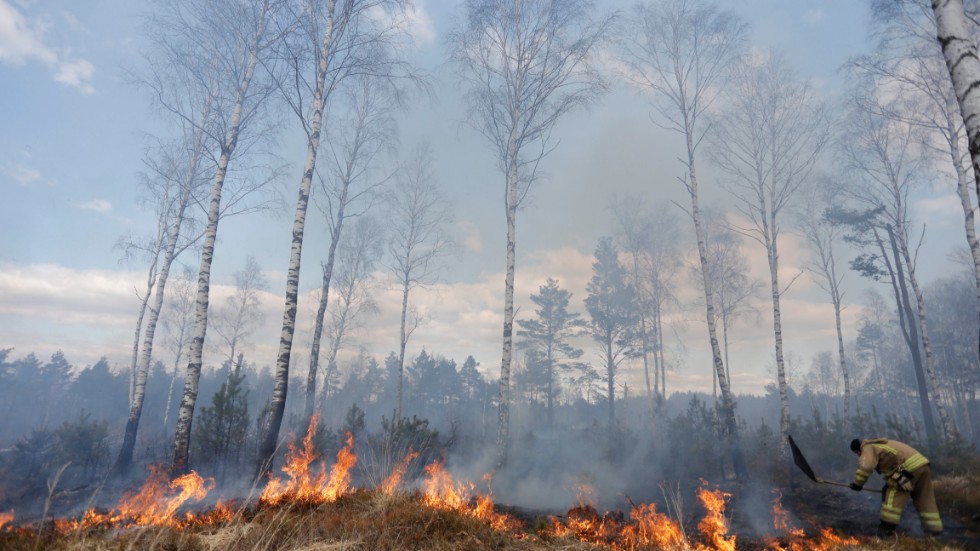 I stora delar av södra och mellersta Sverige ligger varningar för risk för gräsbränder utfärdade. Arkivbild.