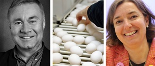 Priskrig hotar slå ut äggproducenter