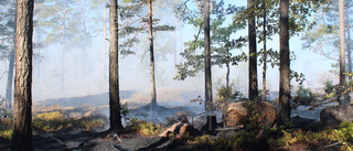 SMHI: Stor risk för brand i skog och mark