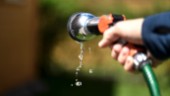 Ingen vattenbrist – ändå nytt bevattningsförbud