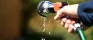 Ingen vattenbrist – ändå nytt bevattningsförbud