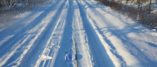 Två vargar spårade i Norrbotten – nu är de försvunna: ”Behöver allmänhetens hjälp med observationer”