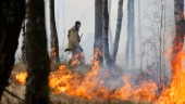 SMHI varnar för bränder i skog och mark 