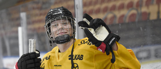 Boden kan få förstärkning – från Luleå Hockey
