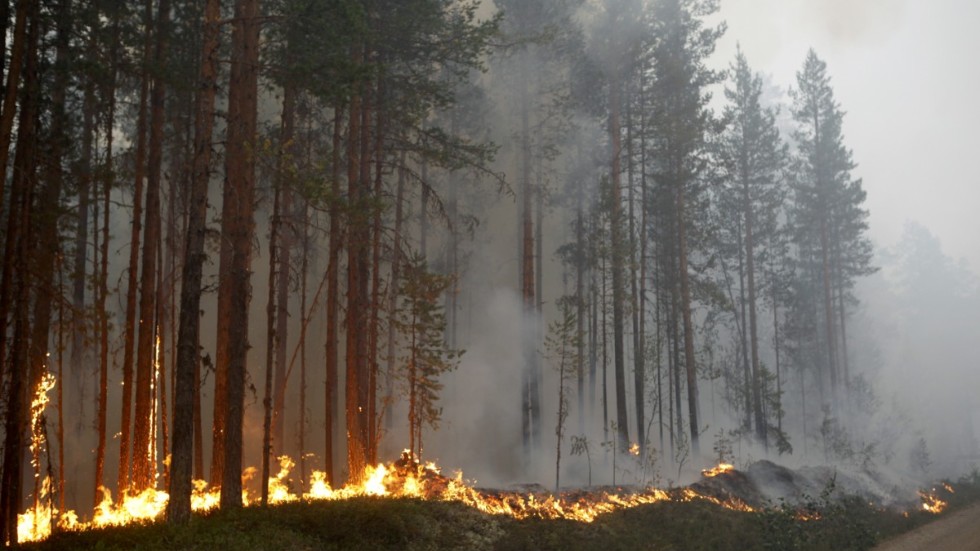 Ökad värme leder till fler storbränder, som skapar fler växthusgaser, skriver Christer Bergström. Här en bild från den stora skogsbranden utanför Ljusdal 2018.
