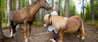 60 höbalar stals – nu drabbas Annas hästar: "Blir sjuka av grönt gräs"