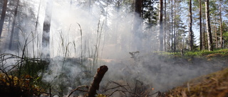 Flera skogsbränder i Jokkmokks kommun efter åskoväder • Hus i farozonen • "Vi har fått lyfta ut personal med helikopter"